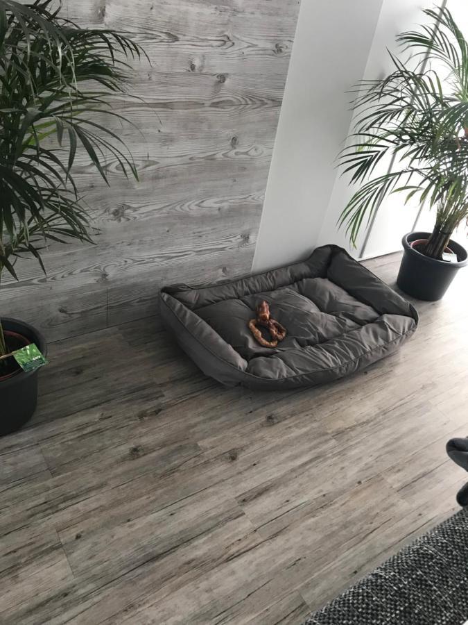Jeannette Apartman Balingen Kültér fotó